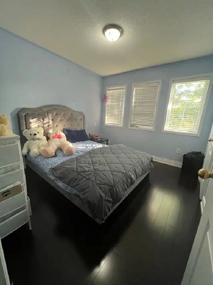 Rooms for rent