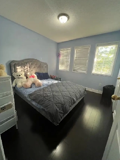 Rooms for rent