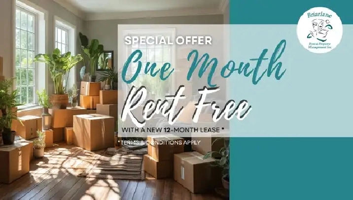 1 Bedroom Apartment for Rent - Downtown London