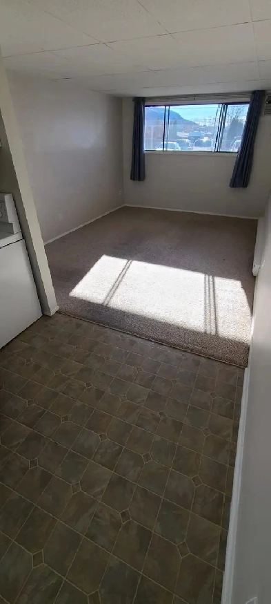 MAIN FLOOR – 1 BDRM – CAT FRIENDLY