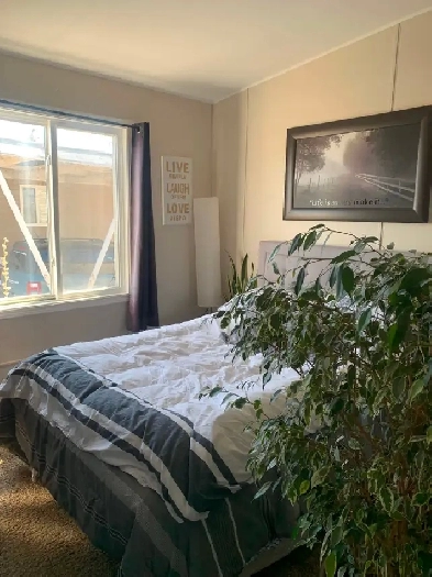 Room for rent