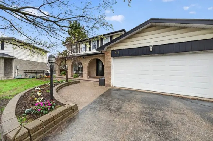 Basement Apartment