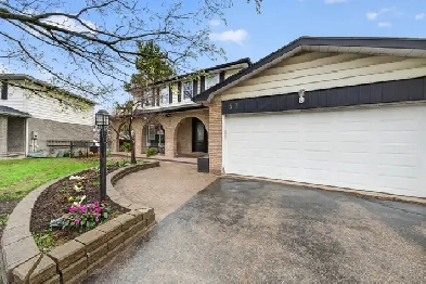 Basement Apartment