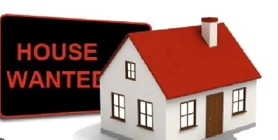 Home Wanted !