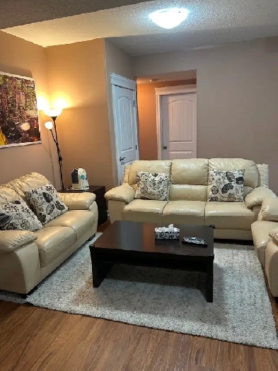 Spacious 2 bedroom basement suite for rent