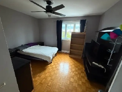chambre à louer dans maison avec une jolie cour