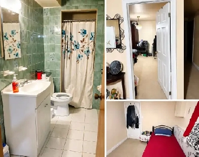 single room with a separate bathroom separate entrance for rent