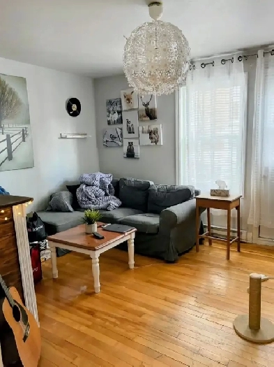 À louer – Grand 3 ½ au cœur du Plateau Mont-Royal. 1025$/ mois