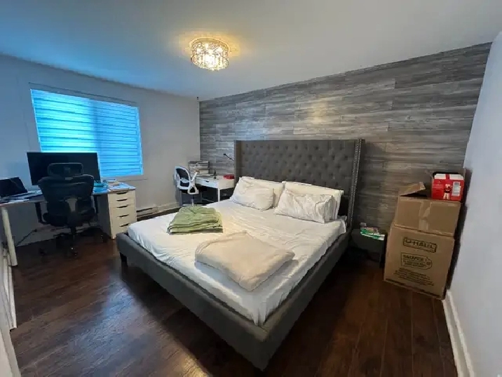 Photo 5