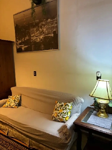 Alliston Furnished room May/June $635 inclusive