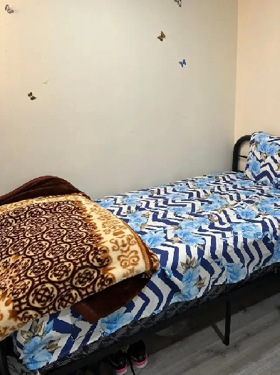 Private Furnished Basement Room onlyFor Female.All Included$550