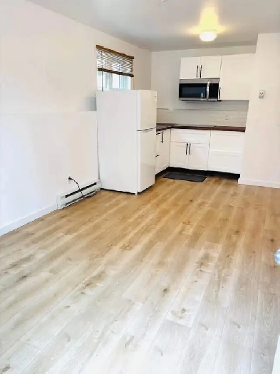 Studio semi-meublé calme et lumineux – Ahuntsic, Montréa