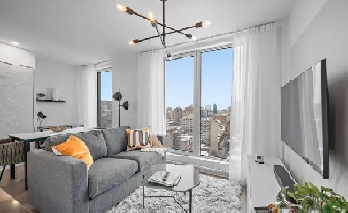 DOWNTOWN MTL FURNISHED EXECUTIVE CONDO, POOL, GYM