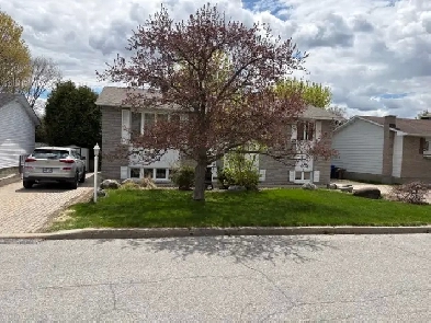 2 bedroom appartement in Gatineau $1260 plus utilities