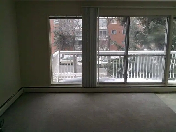 MAY Free! A nice and cozy 1-bedroom suite on 104 str./78 ave.