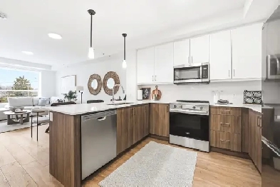 Brand New! 1 Bed 1 Bath Monarch Suite at Aspen | aspenrentals.ca