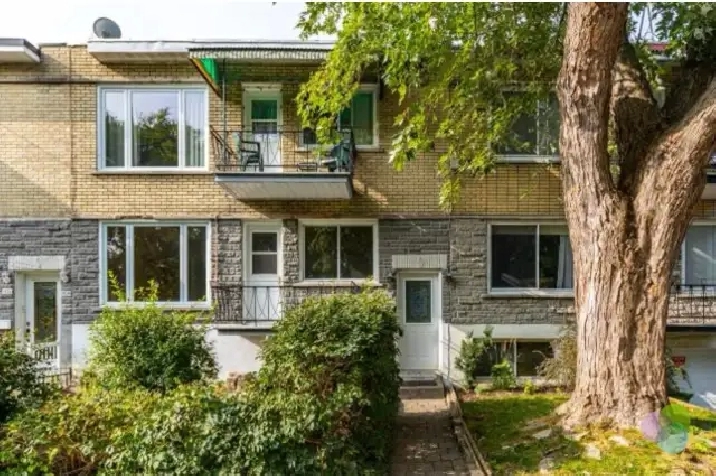 GRAND 5 1/2 SOUS-SOL MONTREAL-NORD