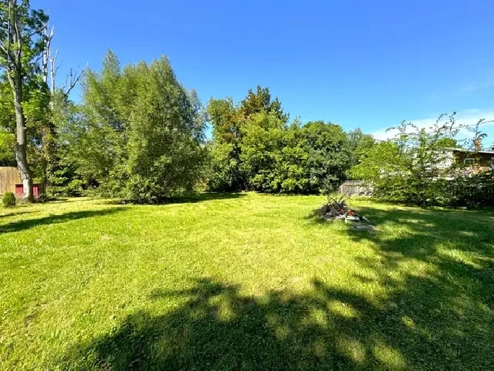 Photo 33