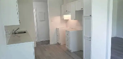 Beau 4 1/2 rénové LIBRE DÈS MAINTENANT!