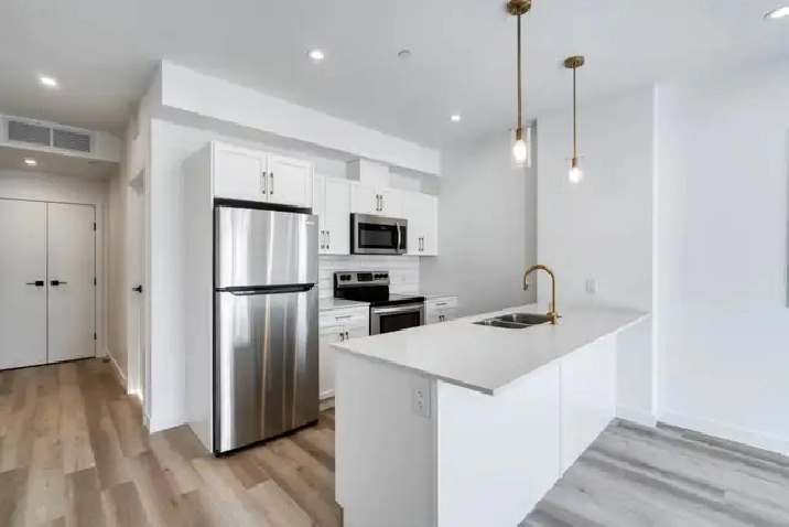 LUXURY 2 Bed 2 Bath Apartment! Move In Ready!