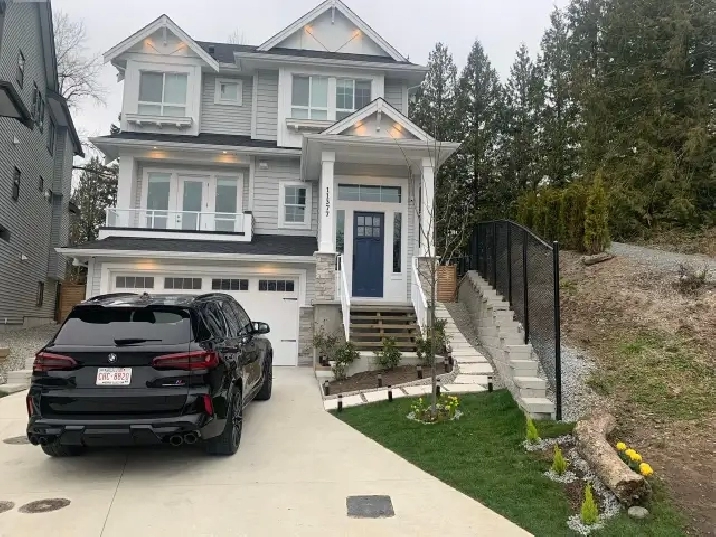 one bedroom suite for rent in Maple Ridge