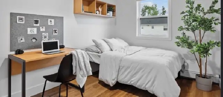 Room for rent