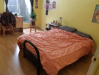 Appartement 2 1/2 Hochelaga MÉTRO PRÉFONTAINE, électro inclus