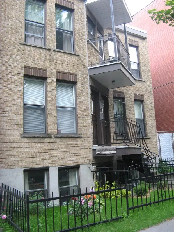 Photo 4