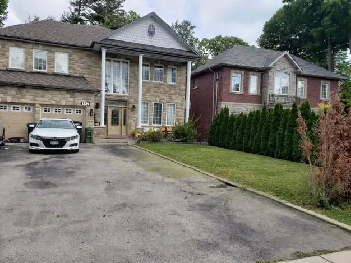 Walkout basement apartment for rent, best area of Scarborough