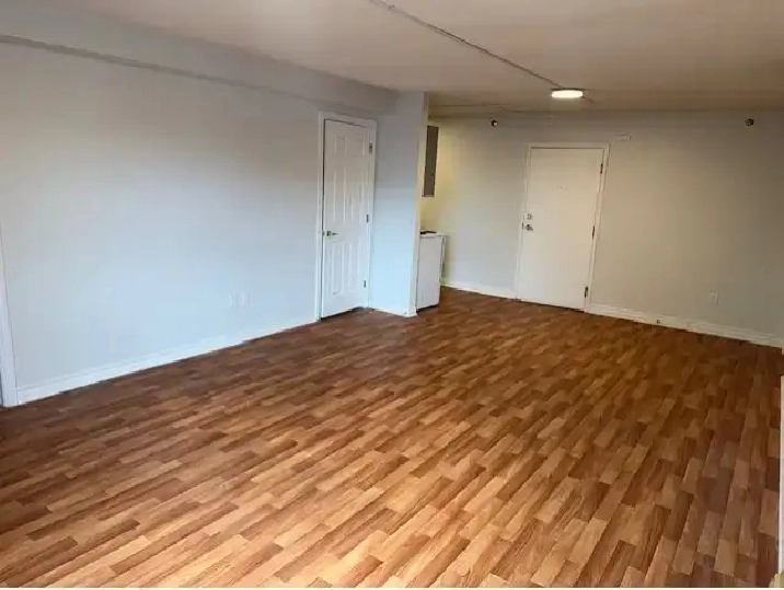 June 1  Modern Bachelor Apartment $1500 Green St All Inclusive