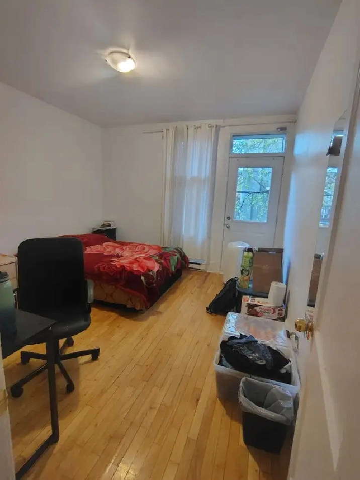 Photo 5