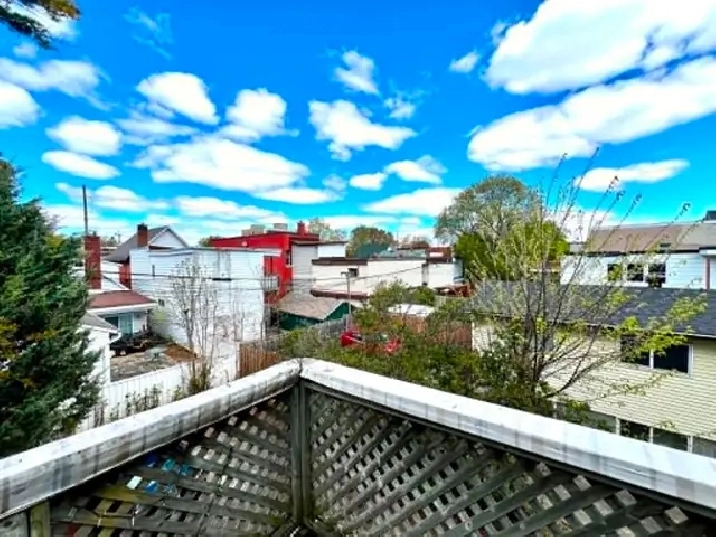 Bright and Spacious 3 bedroom available downtown