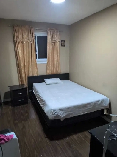 Roommate needed