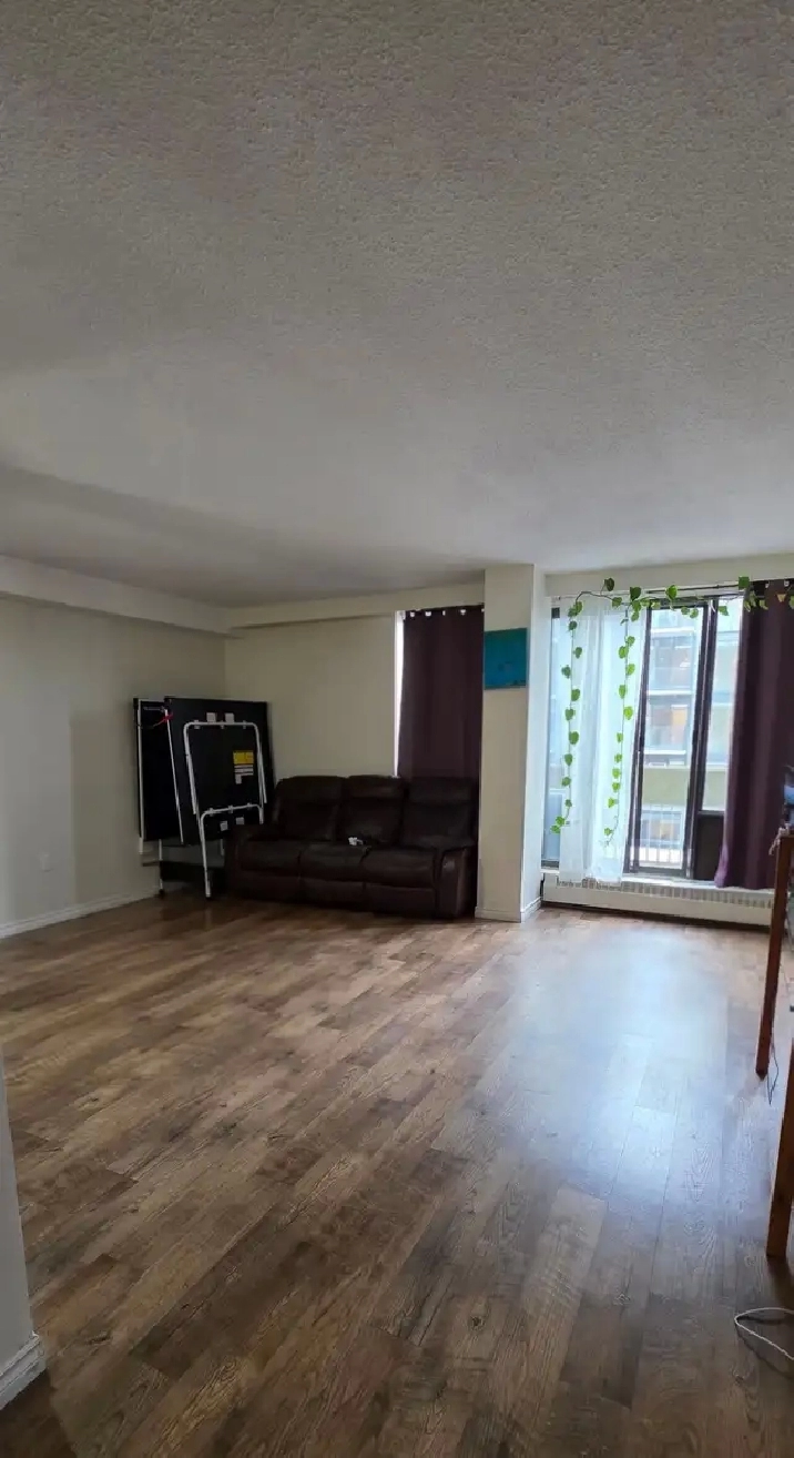 Whole 1 BHK  Apartment for sublet (Short-term)