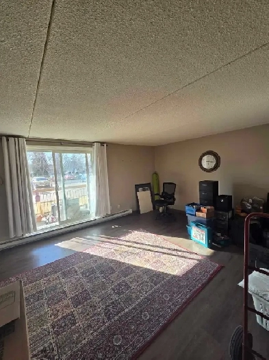 1 Bed 1 Bath - $1,510
