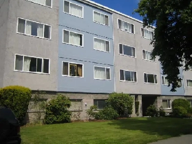 1 Bdr near Cook St Village