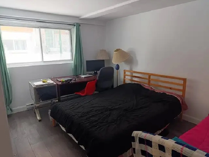 Photo 6