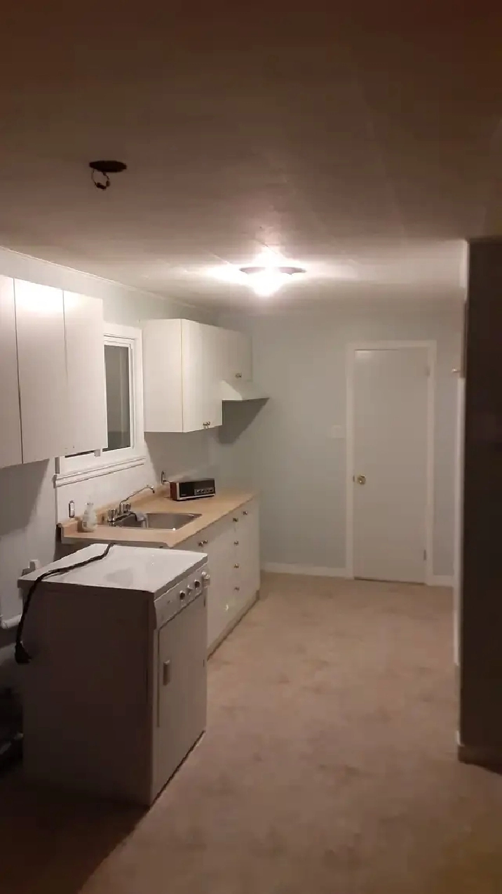Renovated 1 bedroom appartement for rent