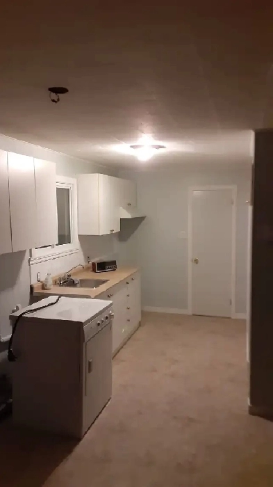 Renovated 1 bedroom appartement for rent