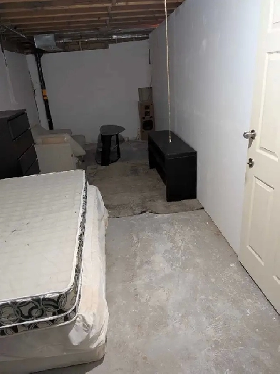 Newly Finished Basement Apartment