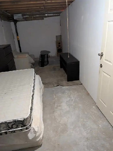 1000sqft - Newly renovated basement apartment (Guelph)