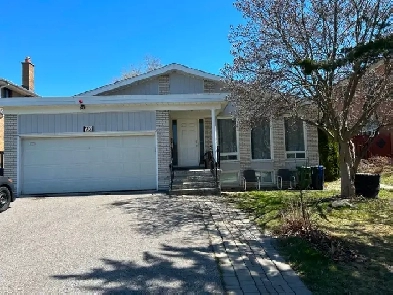 Best Deal! Really Spacious! Quite Bright! One Bedroom Unit Rent