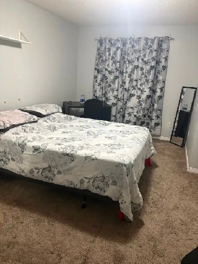 Large Furnished Bedroom for rent. Brampton. $950