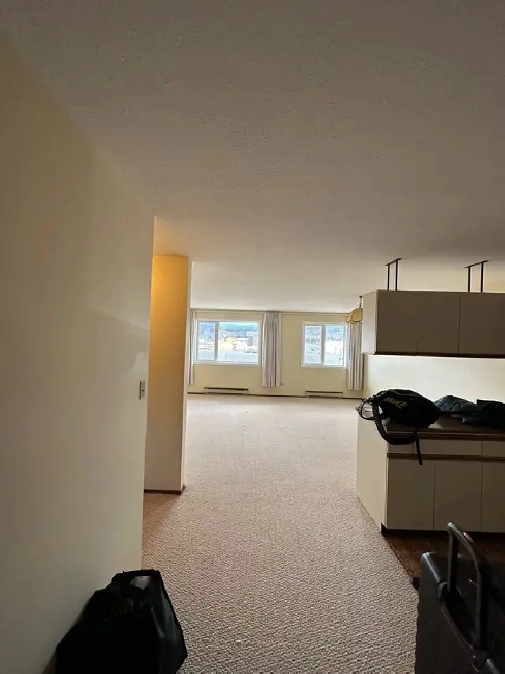 2 Bedroom Downtown Unit