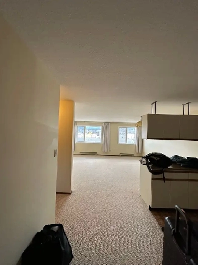 2 Bedroom Downtown Unit