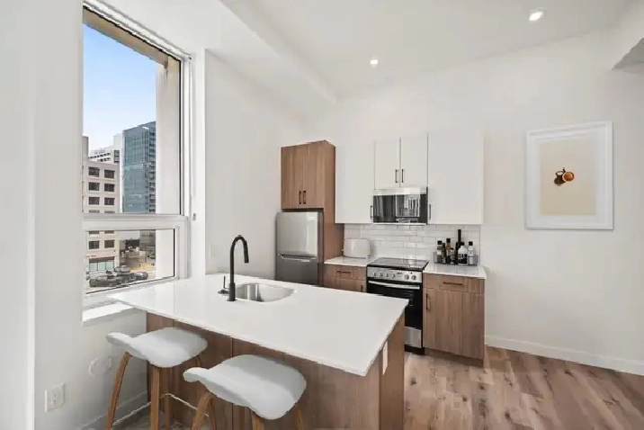 BRAND NEW 1 Bedroom Apartment! Heart Of Downtown!