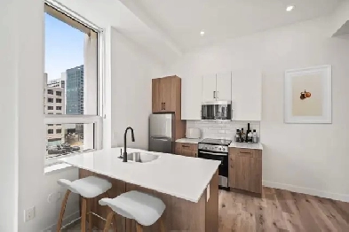 BRAND NEW 1 Bedroom Apartment! Heart Of Downtown!