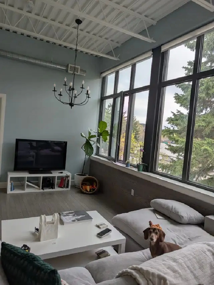 Unique Uptown Apartment