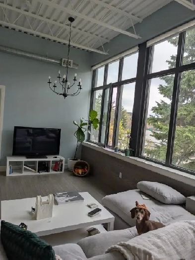 Unique Uptown Apartment