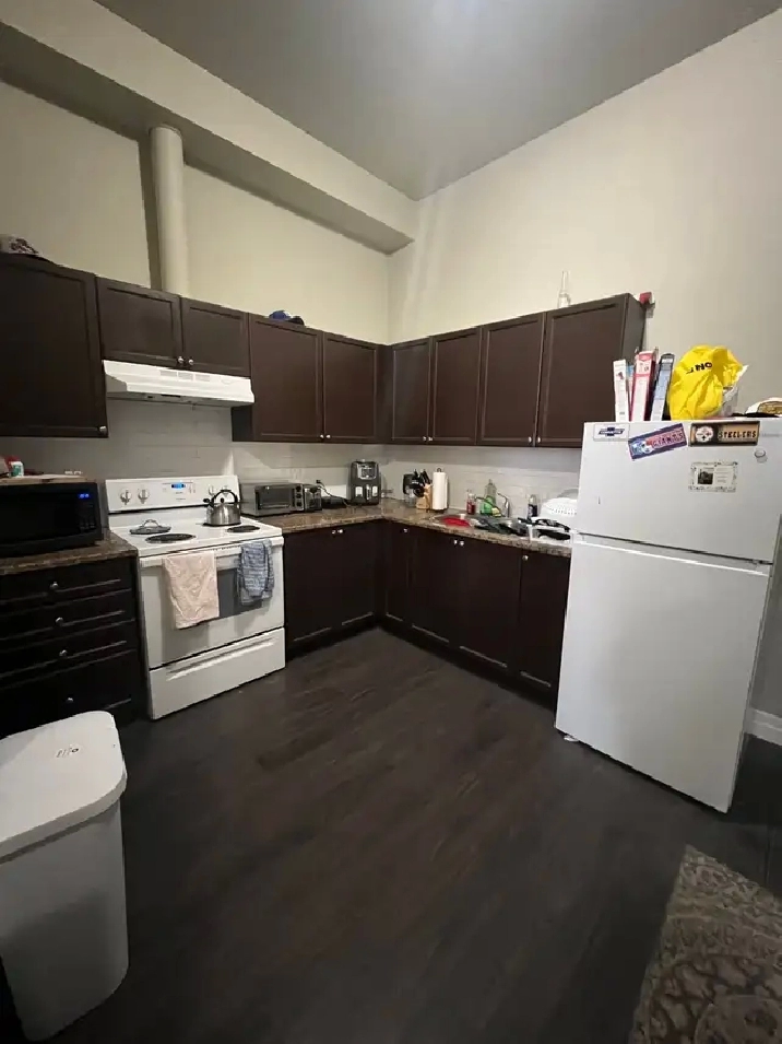 Beautiful One Bedroom plus den Apartment Downtown Woodstock